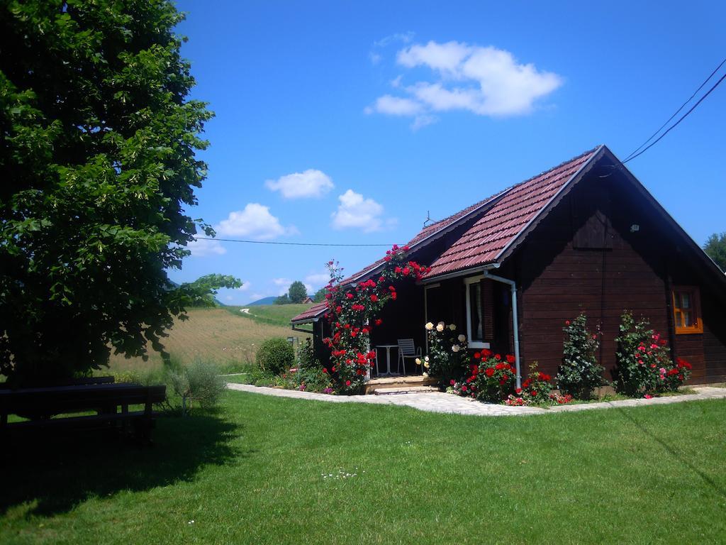 Wooden House Nela Near Plitvice Lakes Smoljanac Extérieur photo